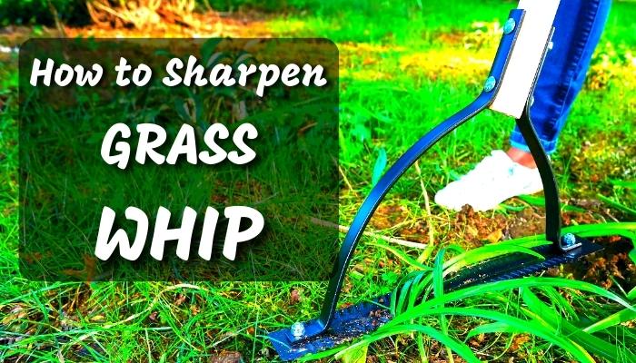 How to Sharpen a Grass Whip? (6 easy steps)
